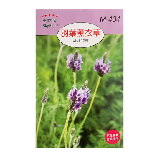 Taiwan SkyStar Brand Gardening Fruit and Vegetable-Basil