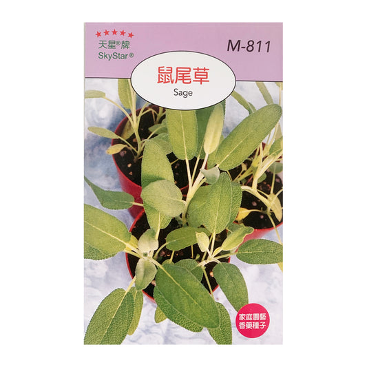 Taiwan SkyStar Brand Gardening Fruit and Vegetable-Basil